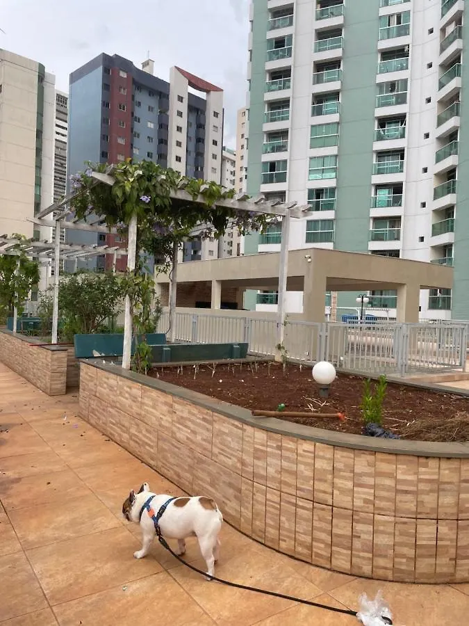 Cantinho Do Aconchego Df Brasilia Apartment
